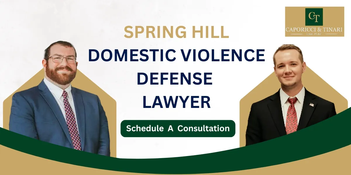 Spring Hill Domestic Violence Defense Lawyer-image