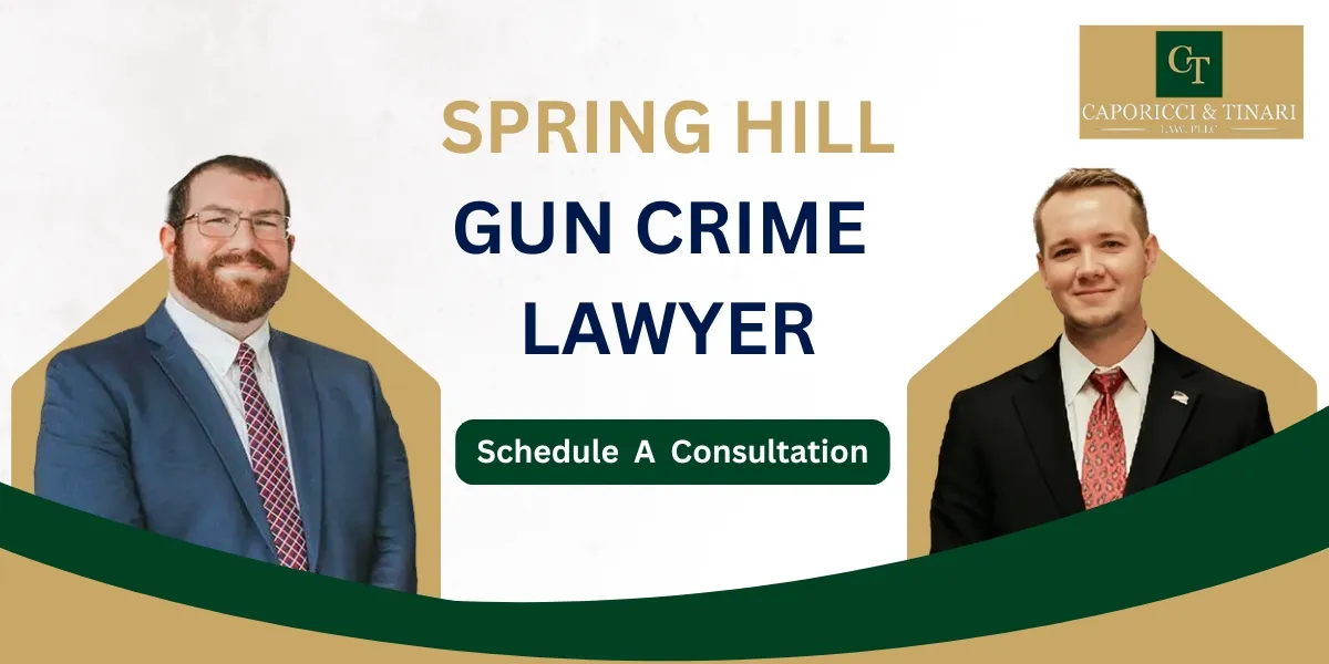 Spring Hill Gun Crime Lawyer-image