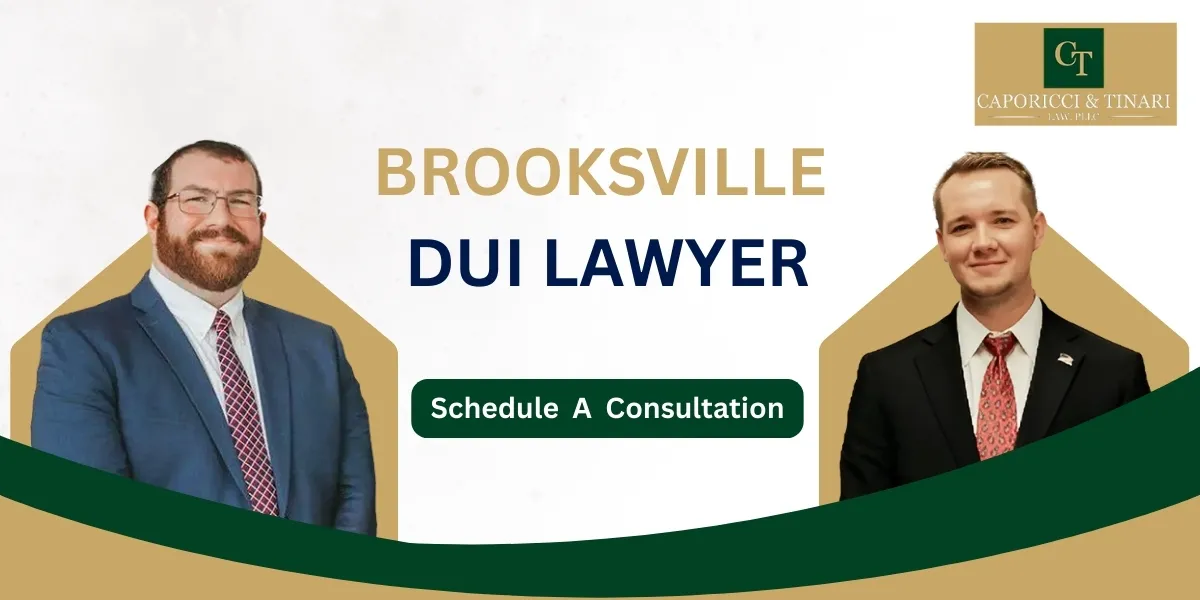 Brooksville DUI Lawyer-image