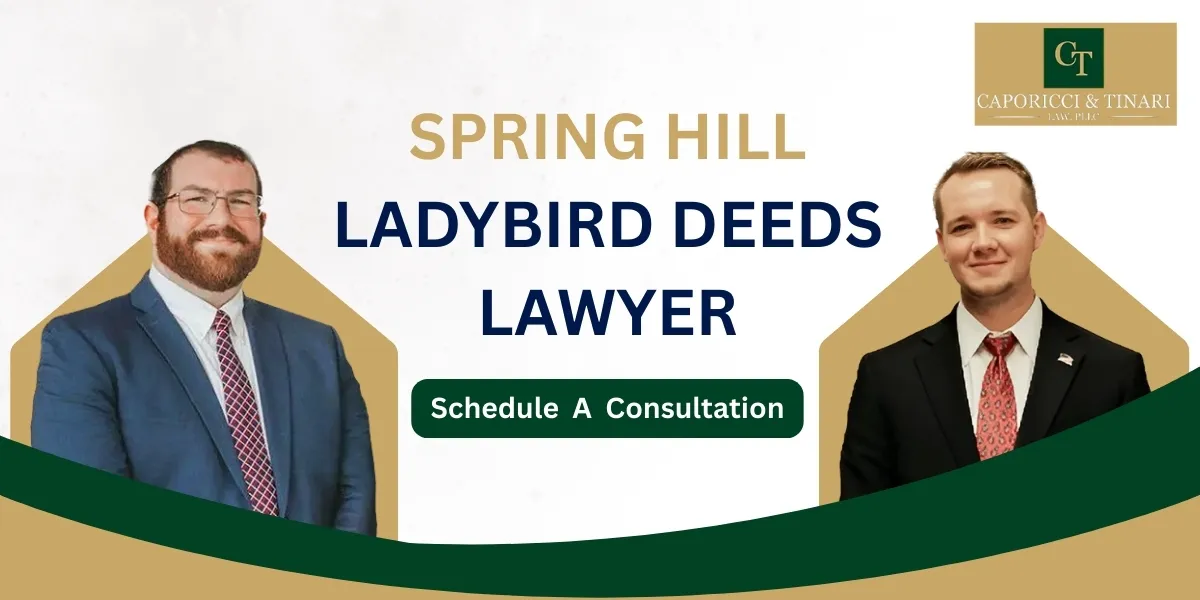 Spring Hill Ladybird Deeds Lawyer-image