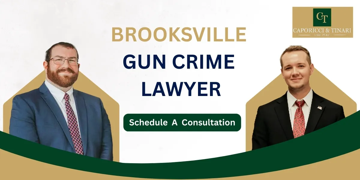 Brooksville Gun Crime Lawyer-image