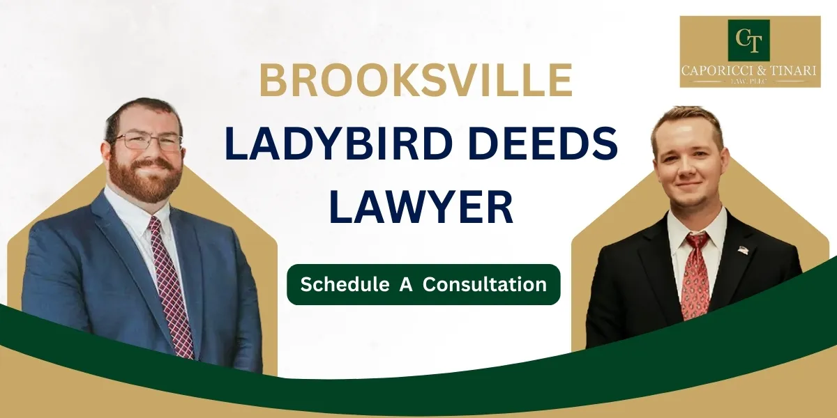 Brooksville Ladybird Deeds Lawyer-image