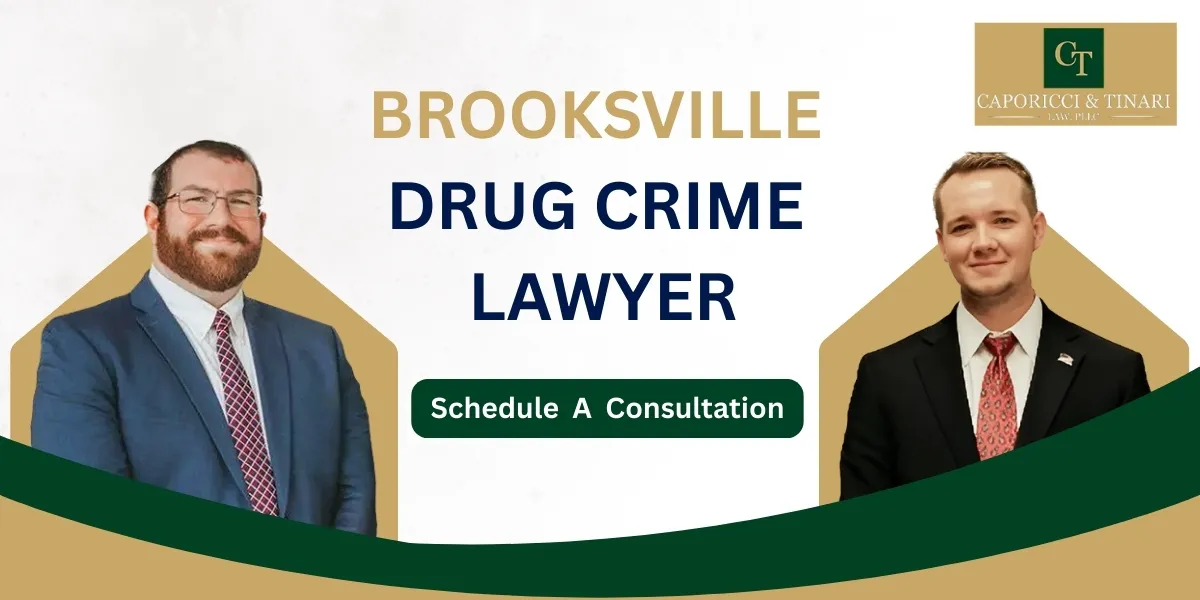 Brooksville Drug Crime Lawyer-image