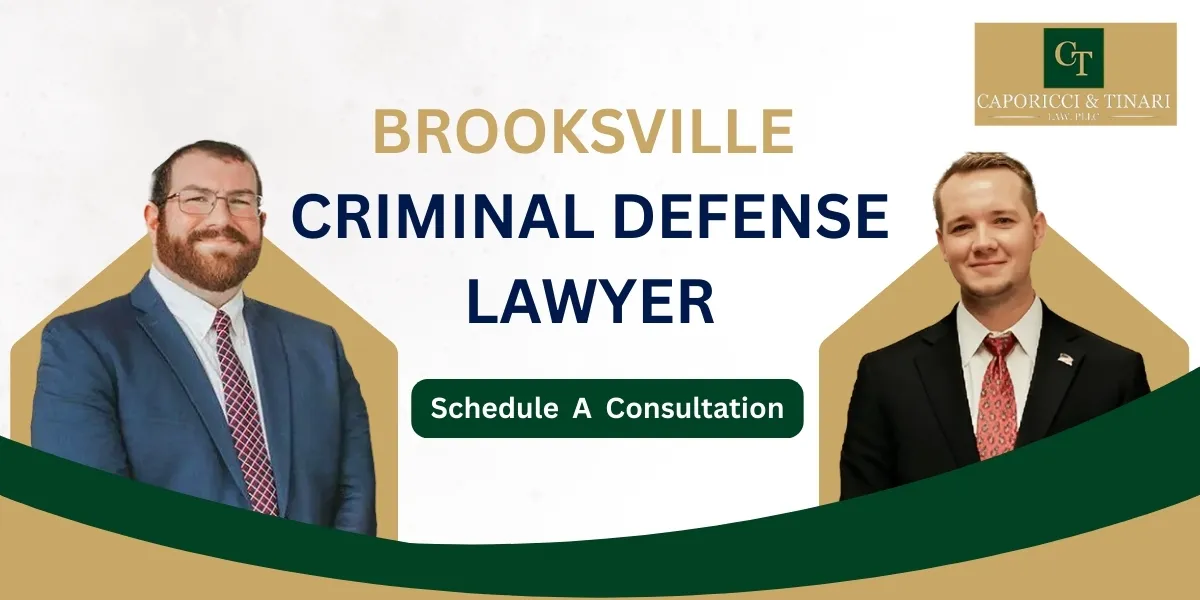 Brooksville Criminal Defense Lawyer-image