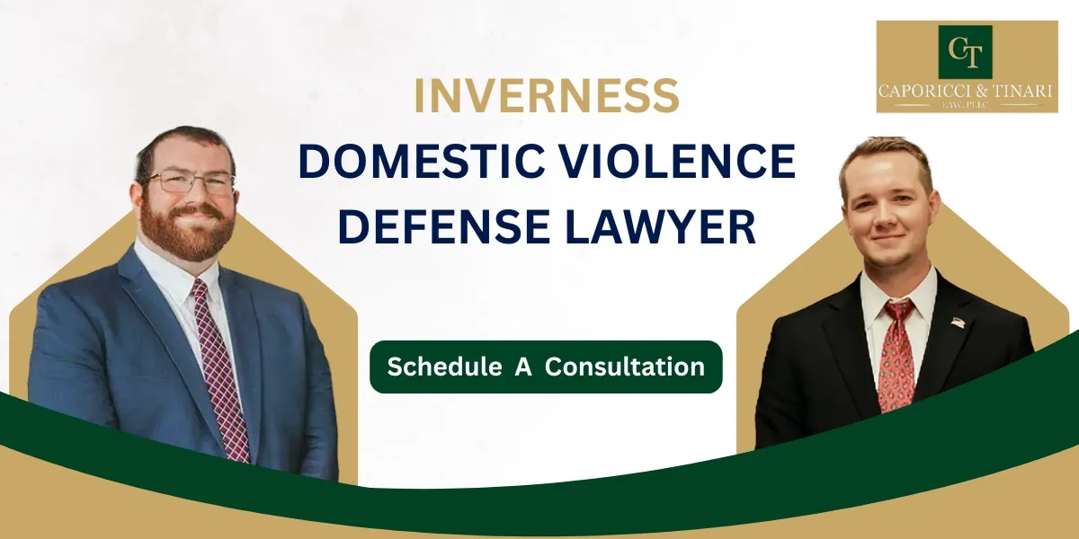 Inverness Domestic Violence Defense Lawyer-image