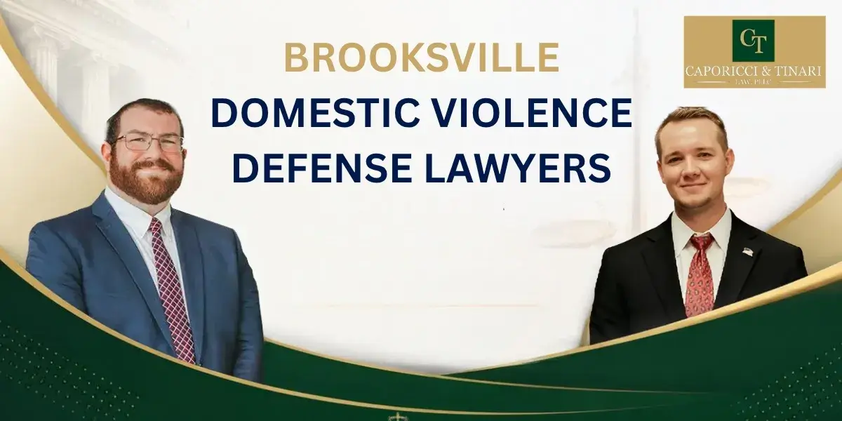 Brooksville Domestic Violence Defense Lawyer-image